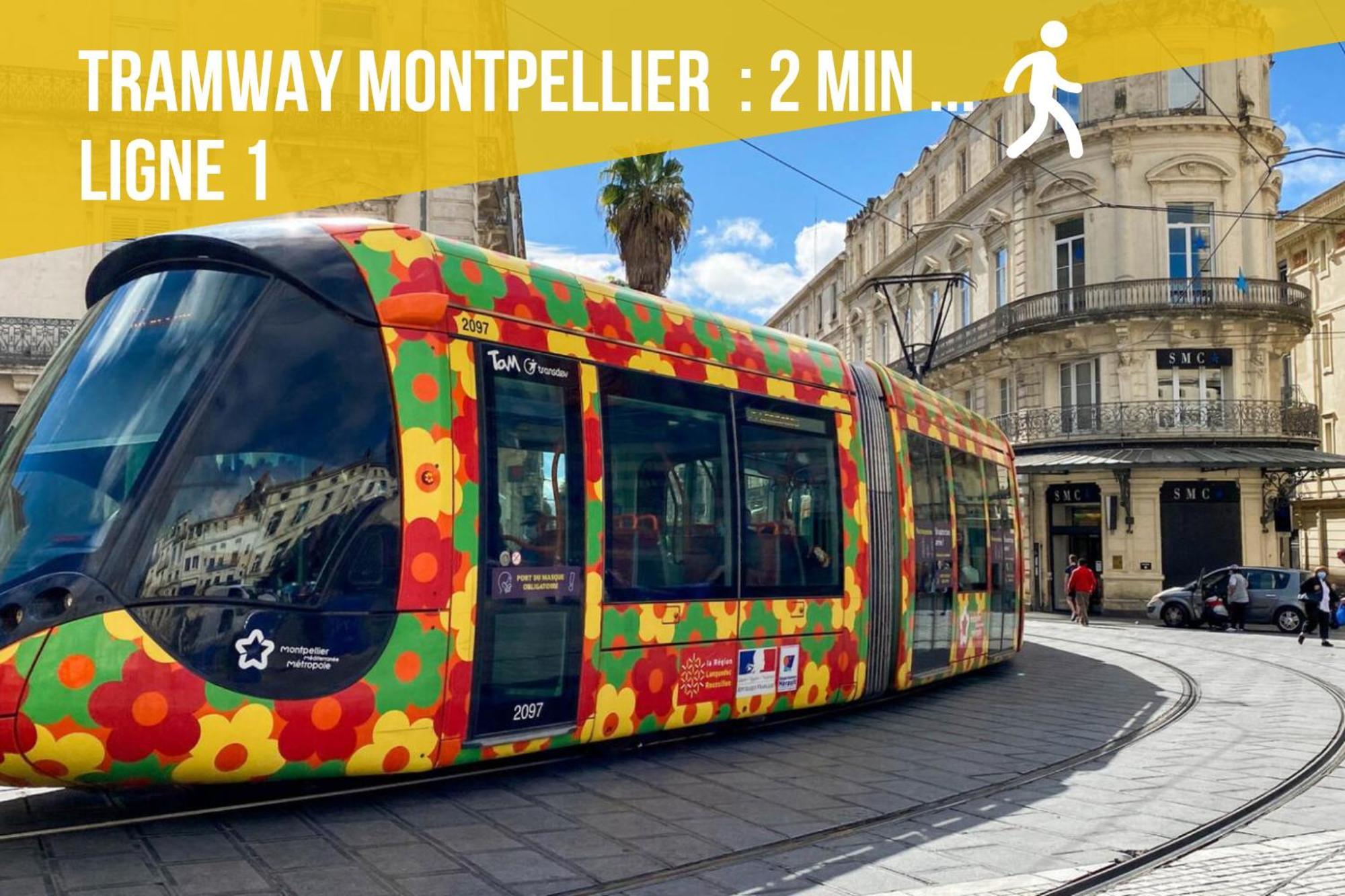 Apartamento Le Rouge - Centre Historique - Corum - Tramway - Climatisation *